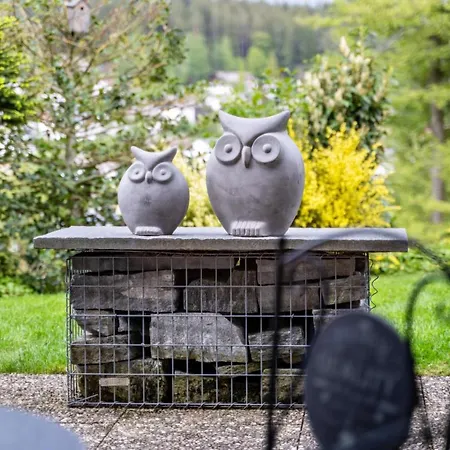 Apartament Eulennest Schramberg